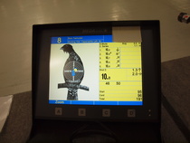 Ronin ilmaluodikon loppukilpailutulos.